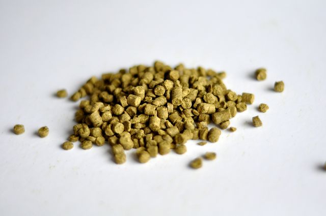 Warrior, US, Pellet